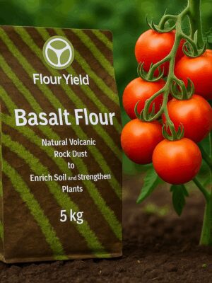 FYT BF 5kg tomatoes Flour Yield Basalt Flour – Natural Fertilizer 5kg