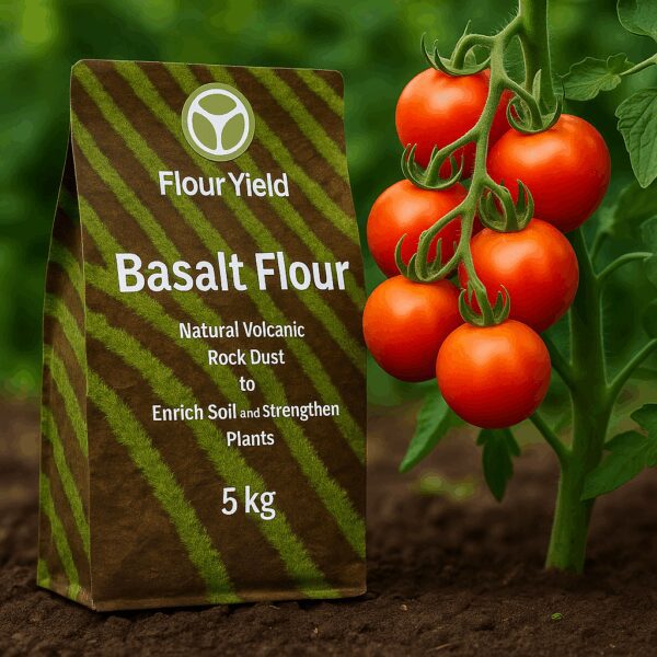 FYT BF 5kg tomatoes Flour Yield Basalt Flour – Natural Fertilizer 5kg